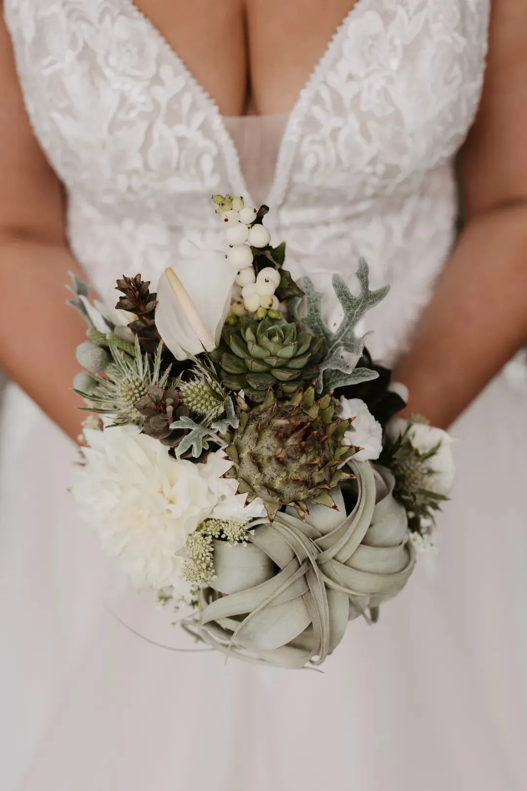 Steve Photography – JPEG Bild 164 ergebnis